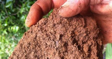 Виды почв и их характеристика