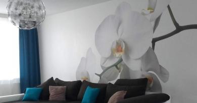 Как можно оформить стены в квартире в фиолетовых тонах: лиловые, фиолетовые или ярко-сиреневые оттенки в интерьере и варианты декорирования